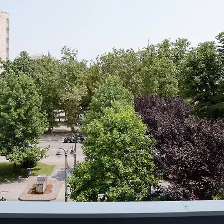 Apartment Treetop *